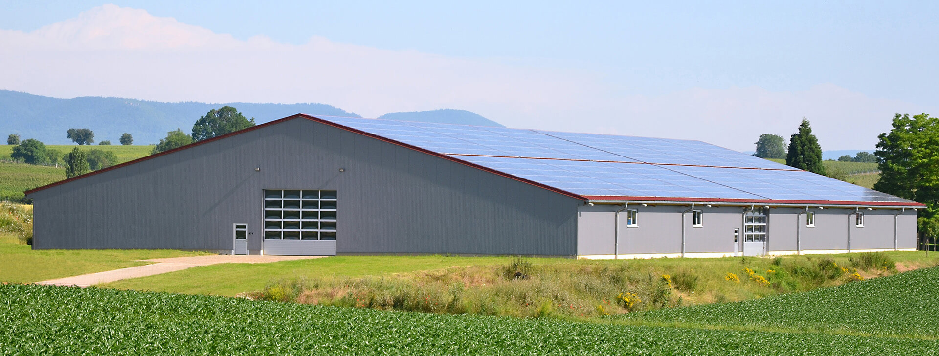 Agrarindustrie - Hallenbau - WOLF System