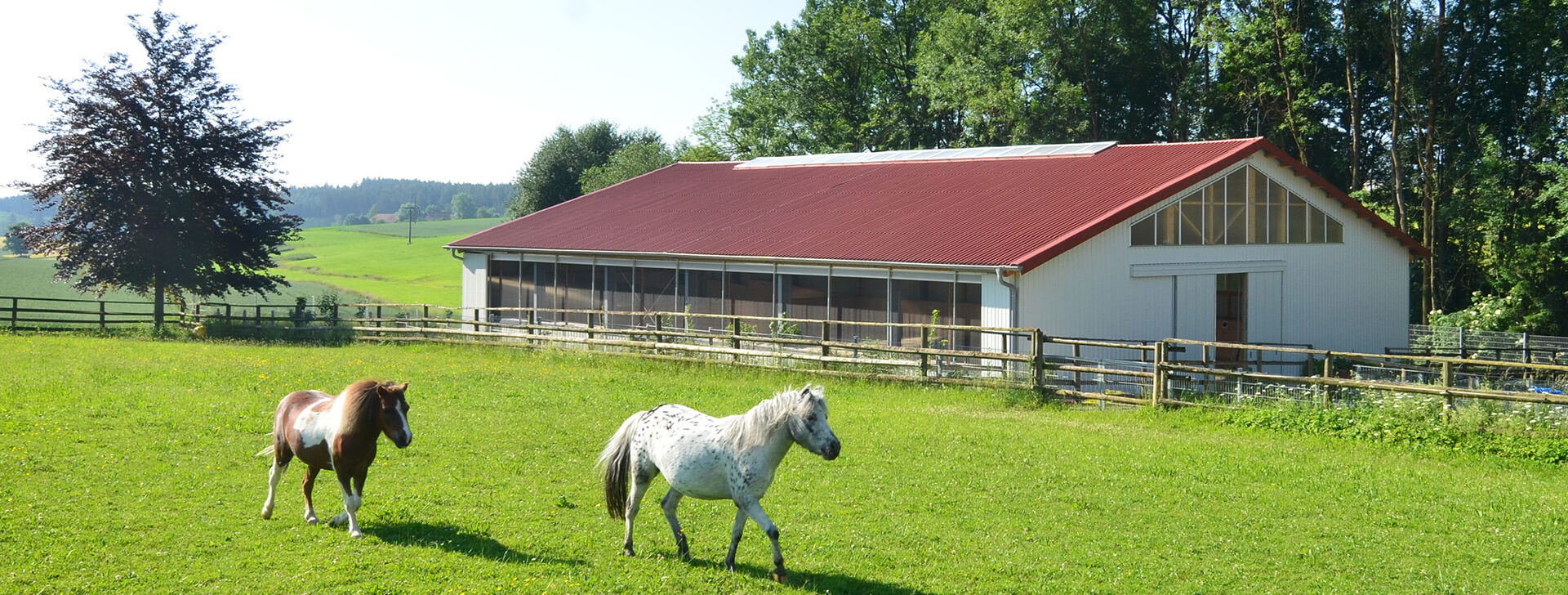 Pferdeställe - Agrarbau - WOLF System