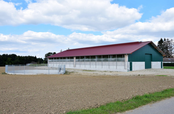 Bullenställe - Rinderstall - WOLF Systembau