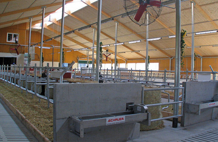 Fertigstall - Rinderstall - WOLF Systembau