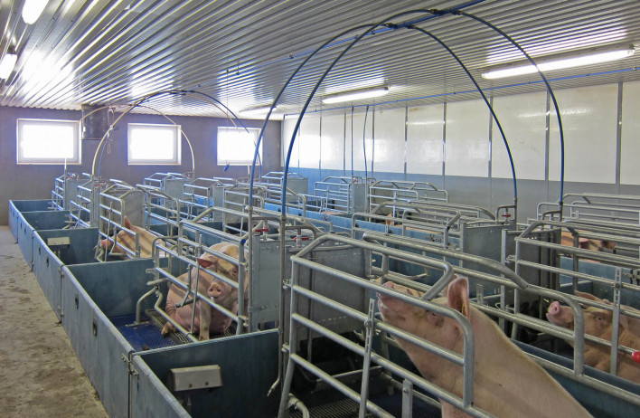 Schweineställe - Schweinestall  - WOLF Systembau